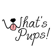 Whats Pups!