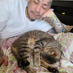 ZEUSちゃんねるの画像