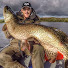 US1IjAxZkWw-channel-avatar-All Round Angler 