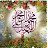 @7bbmohamad