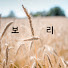 시보리