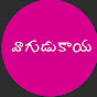 vagudukaya logo