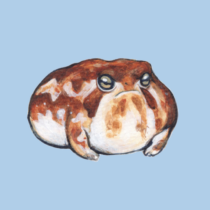 chonkyfrog
