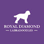 Royal Diamond Australian Labradoodles logo