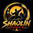 lDzQOTFvLXo-channel-avatar-Shaolin Power