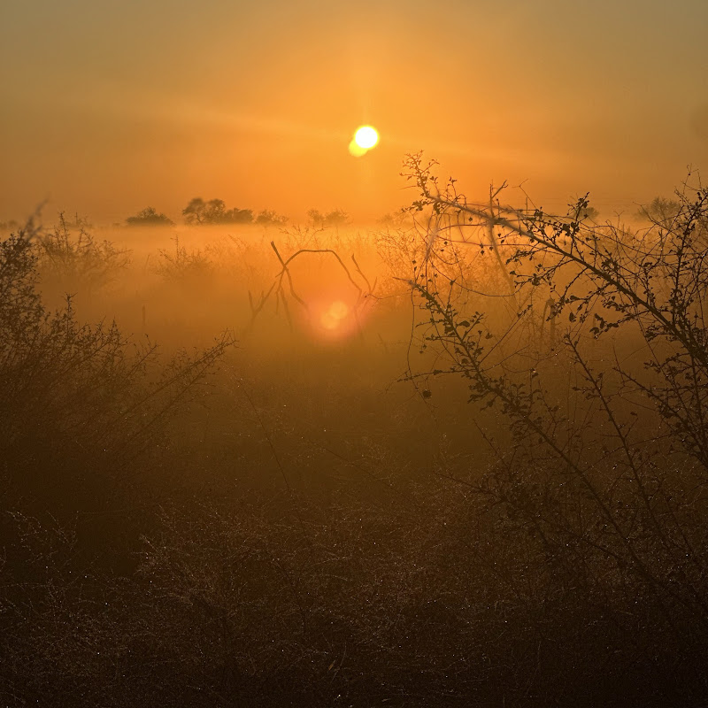 Blessed Keyboard Worship avatar