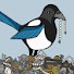 Q7ar3jZIEI4-channel-avatar-Mad Magpie