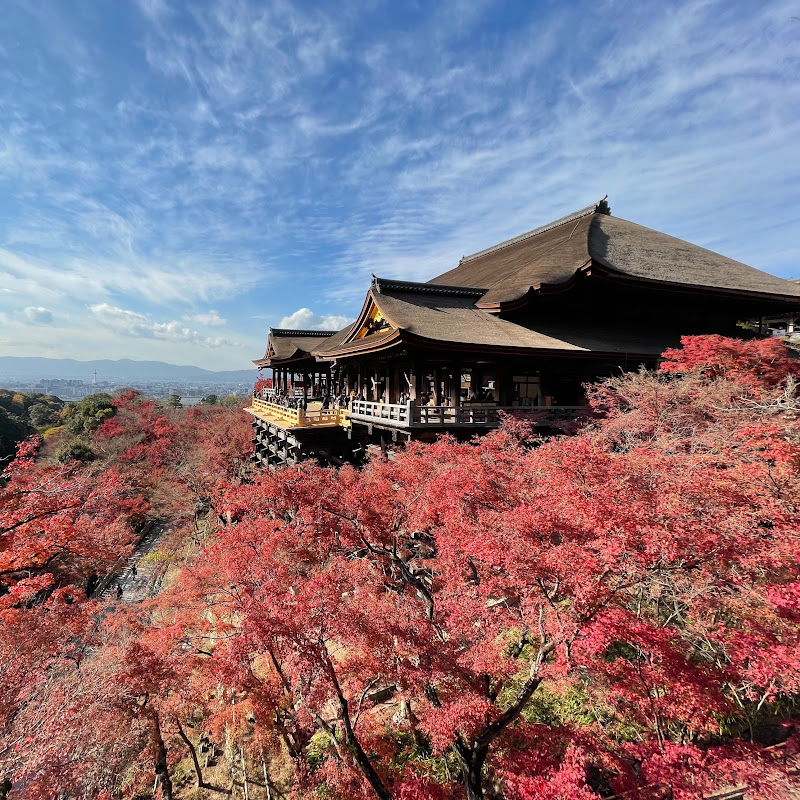 Travel Around Japan