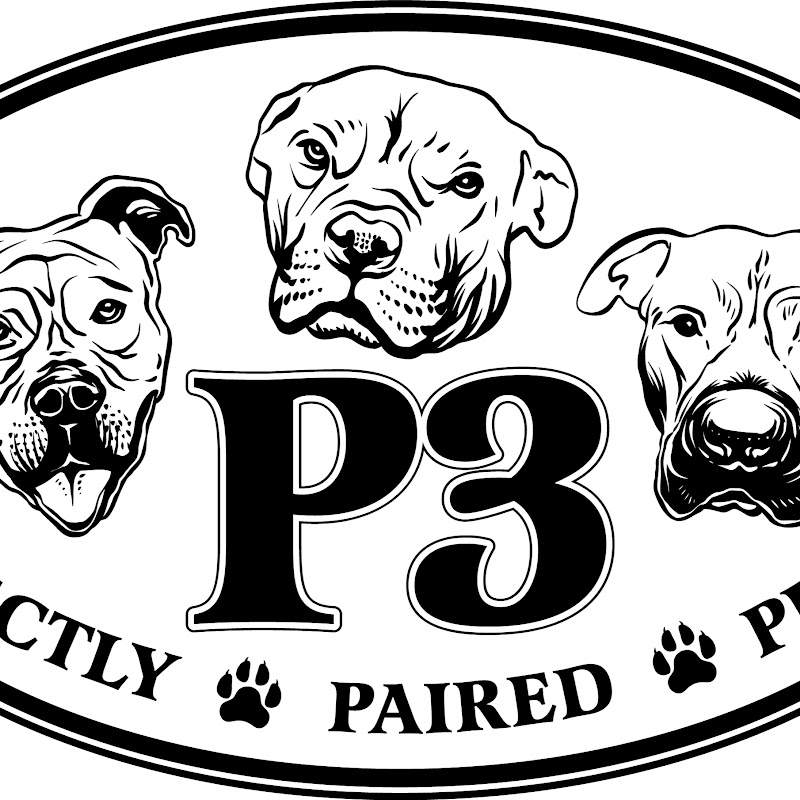 P3Rescue