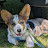 @CorgiButters