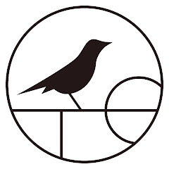 鳥籠の中で僕たちは、