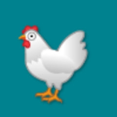 Gallina Puntolina Italiano Coceani Pre Bambi