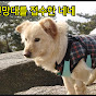 보보 수락산 동물 밥배달부