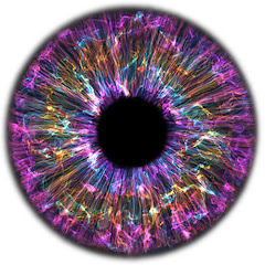 Mikhail "Mikemed" Medvedev