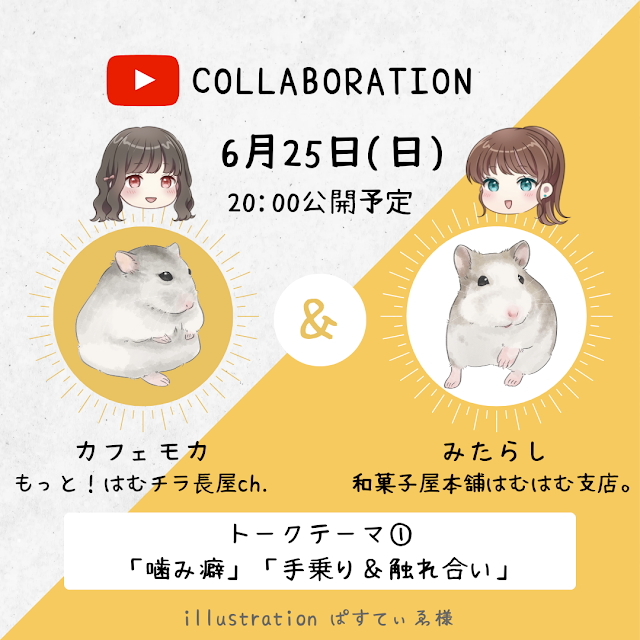 もっと！はむチラ長屋ch.【ハムスター】 - YouTube