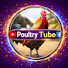 DDD-CmqfvZg-channel-avatar-Poultry  Tube