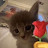 Photo of @Daniela-n8p7w
