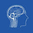 Sk-V3EbKIqA-channel-avatar-Venous Congestion Committee 