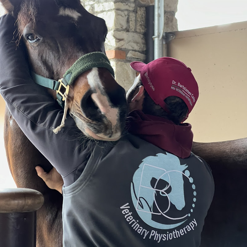 BartVetPhysio
