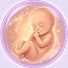 SOx7jM2G8uM-channel-avatar-Fetal Secrets