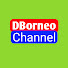 RXGjDPaBkIQ-channel-avatar-DBorneo Channel