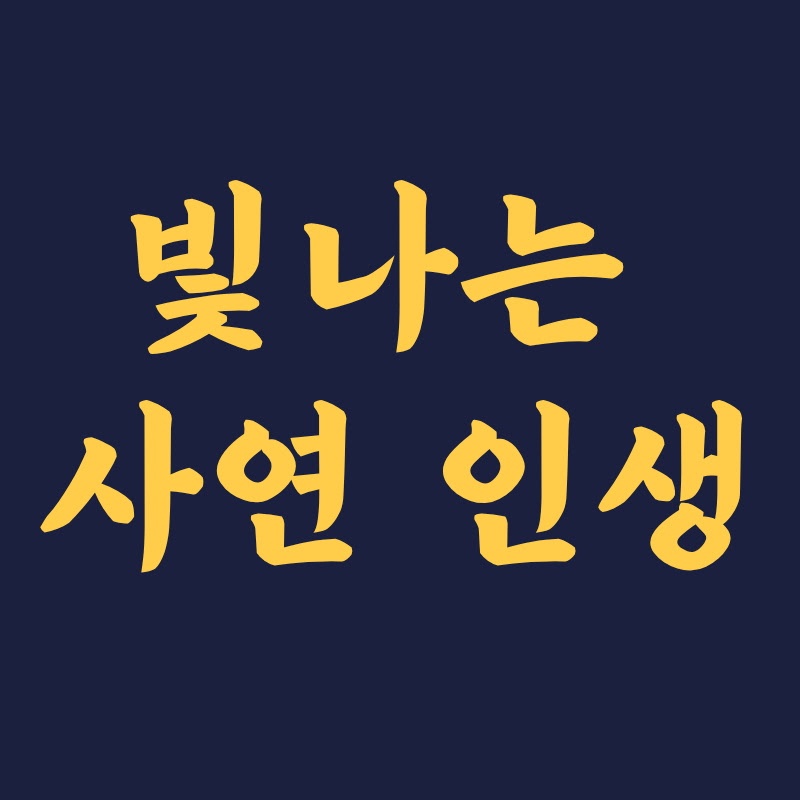 빛나는 사연 인생