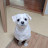 @병역명문가10