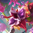 IgnIgahr7Kw-channel-avatar-PlayCabex