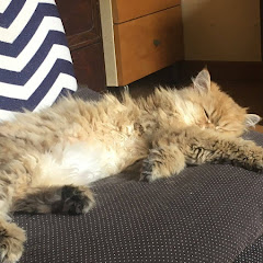 ぶらり立ち食いそばアイコン画像