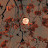 @nnoo394