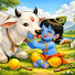 -ENOgGrG53o-channel-avatar-Shree Sanatan Dharma