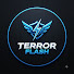 _RGBfkH7Ys4-channel-avatar-Terror Flash