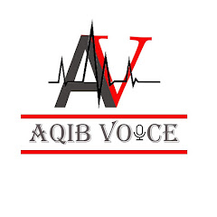 Aqib Voice
