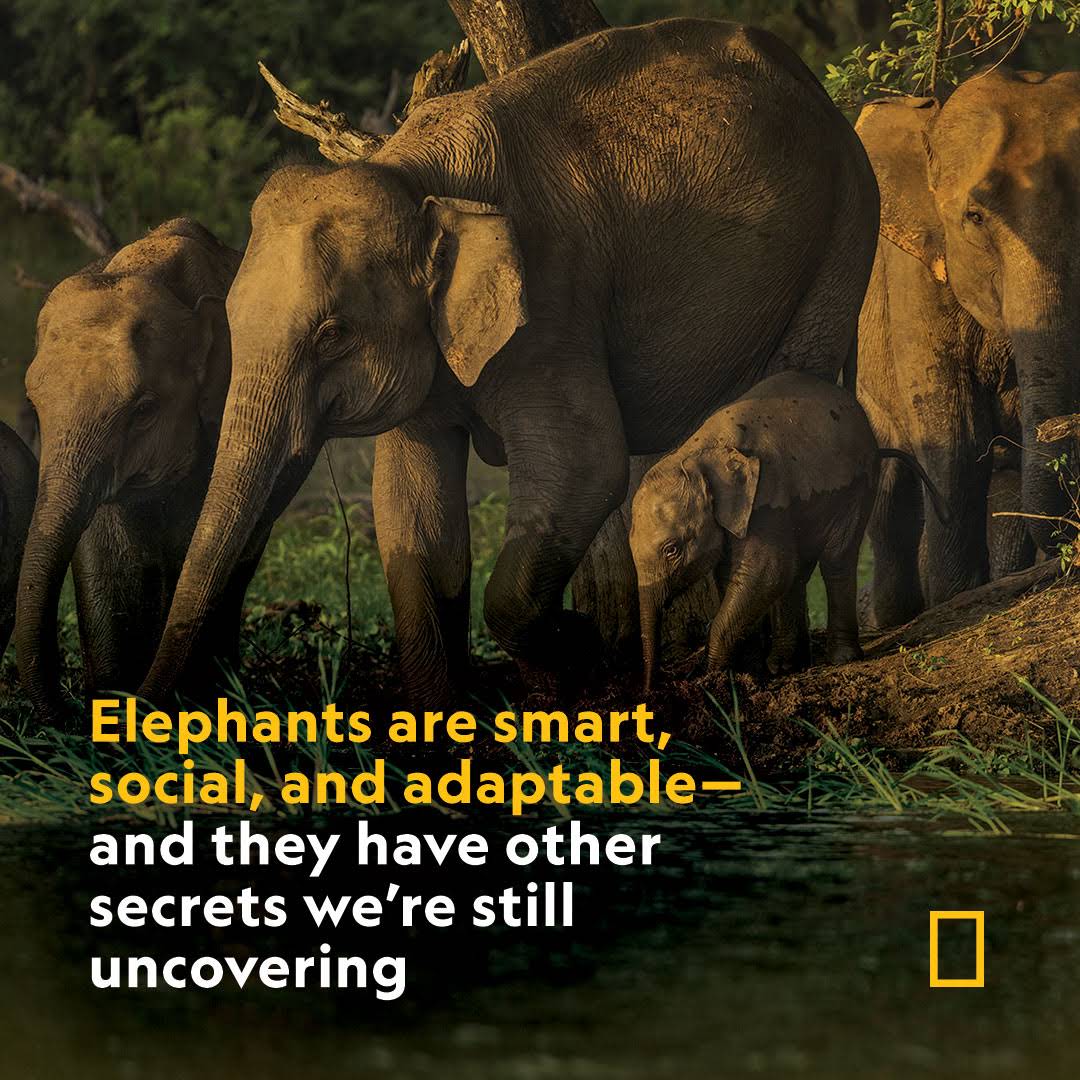Post from National Geographic