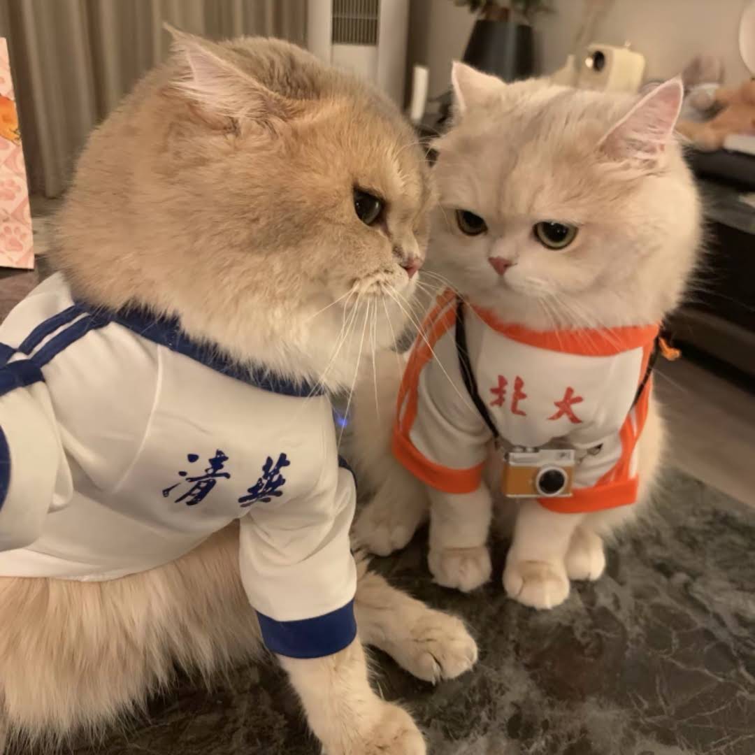 Post from Catherine Ren