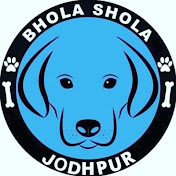 Bhola Shola Jodhpur dog kennel