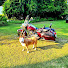 NuSZz3Y1Qxk-channel-avatar-Virginia Bike Rides