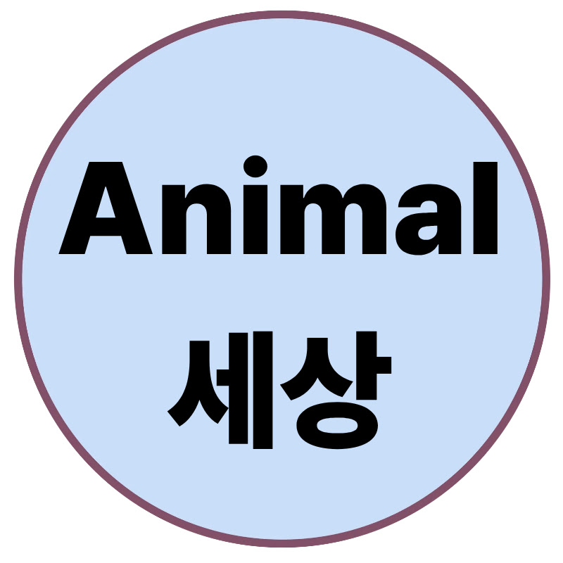 Animal세상 avatar