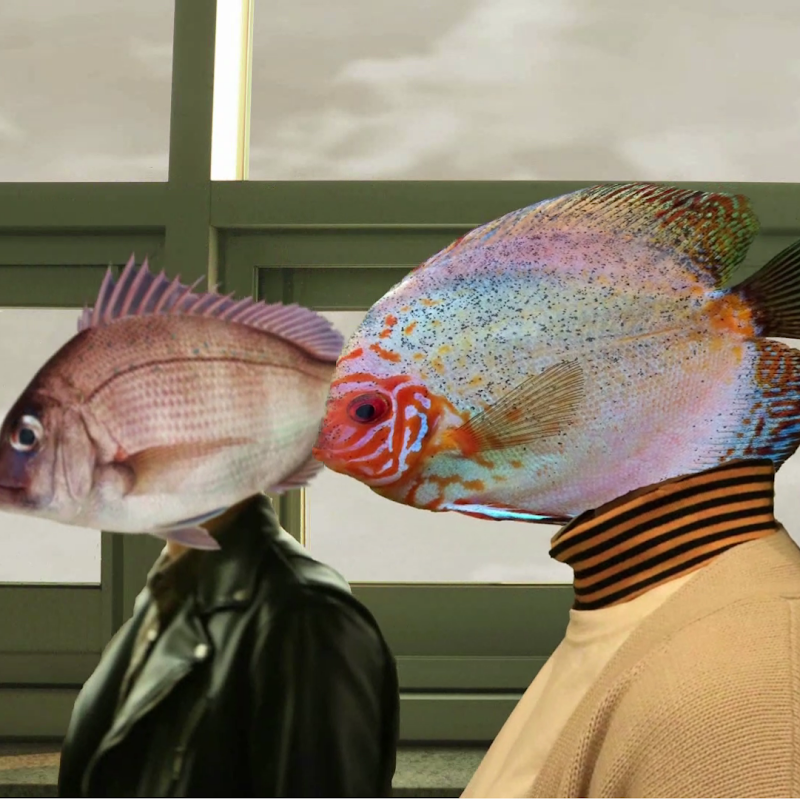 한정인 | HAN Jung In