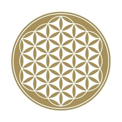 生命之花藝術研究學院FOLアイコン画像