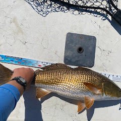 Backwater fishing daily