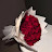 @HabebaEhab-n4v