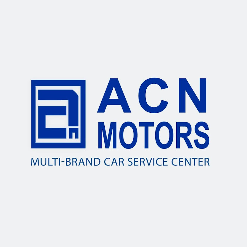 ACN MOTORS 