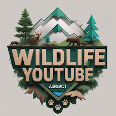 Channel thumbnail for AliReact