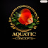 CJmfEimcn6A-channel-avatar-AQUATIC CONCEPTS
