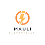 Mauli Electricals logo