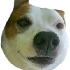 KingSammeMom