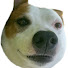 uBzM6mNJhck-channel-avatar-KingSammeMom