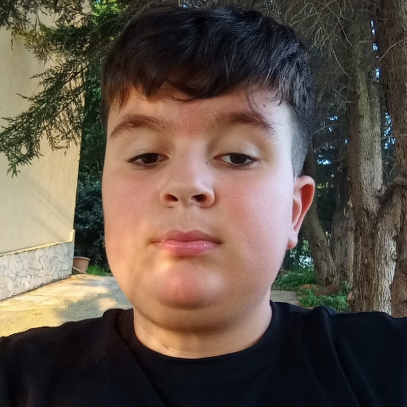 Hire FrancyAlwaysFallUp — Minecraft Content YouTube creator for sponsorships