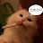 @By_Tko.xd4qi